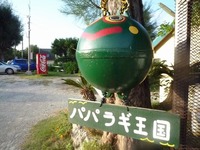 パパラギ王国！ 2008/11/17 09:18:00
