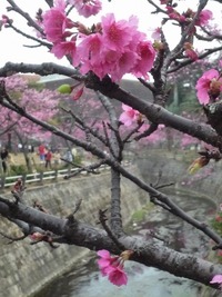 ２月の出来事③！ 2009/03/29 09:12:00