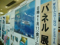 くじらパネル展！ 2008/01/17 05:15:00