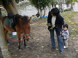 子供の国！