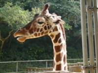 子供の国！ 2007/01/14 12:06:25