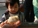 子供の国！