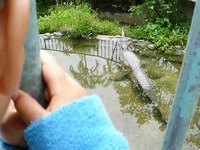 こどもの国②！ 2008/05/09 09:18:00