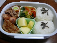 ５月の弁当たち！ 2009/06/18 09:19:00