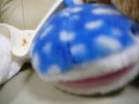 好きなもの！ 2009/06/19 09:14:00
