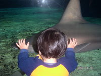 おどり食い？ 2006/03/26 21:51:55