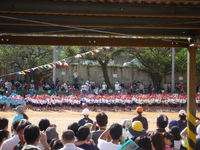 長男（小2）の運動会