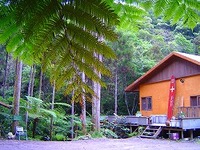 TVで山甌！ 2006/04/10 12:24:02