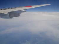 新しい場所で