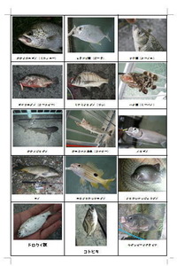 業務連絡～！ 2011/10/28 09:49:32