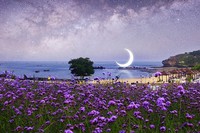 星に願いを☆彡☆彡 2018/06/15 15:04:13