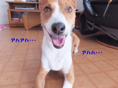 ルビーとシュリの思い出。。(410)
