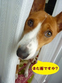 ルビーとシュリの思い出。。(245) 2019/11/25 04:12:20