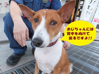 ルビーとシュリの思い出。。(409)