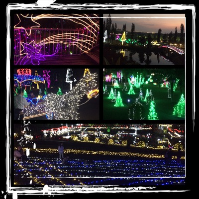 ひかりの散歩道～✨㏌東南植物楽園＼(^o^)／