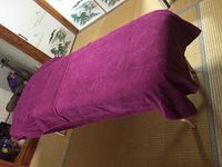 マッサージベット 2016/10/31 14:24:26