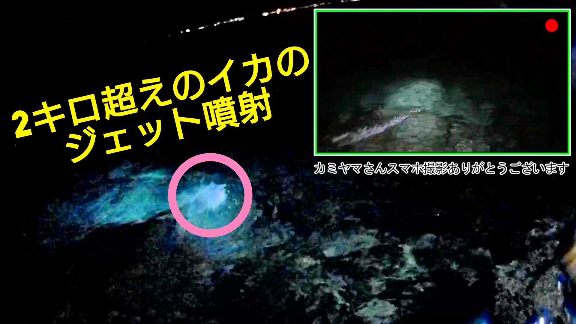 【イカ】デカかったのでサンノリー2さんで検量してみた