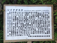 シイナグスク(^^) 2014/01/23 17:59:51