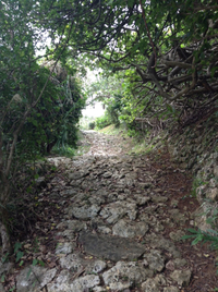 比屋根坂石畳道（ひやごんざかいしだたみみち）(^^)