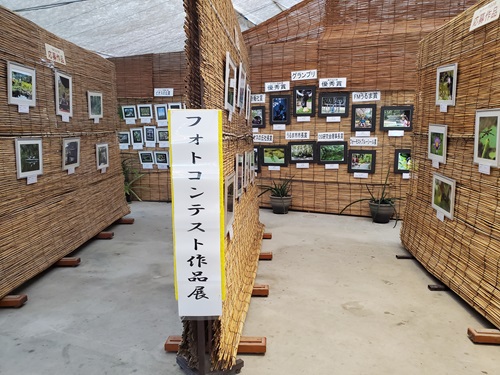 ビオスの丘フォトコン展示