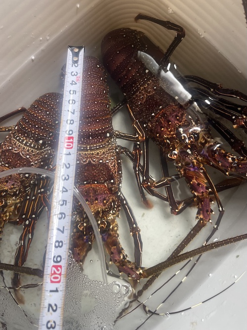 あっという間に・・・・