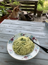 毎日デッキごはん
