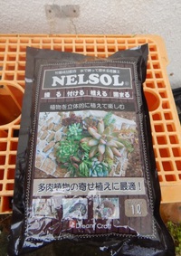 ネルソルで遊ぶ