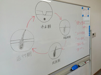 無料体験会! 【6/18(木) まつエク資格スクール】