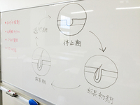 第２回　【まつエク資格スクール 無料体験】レポート