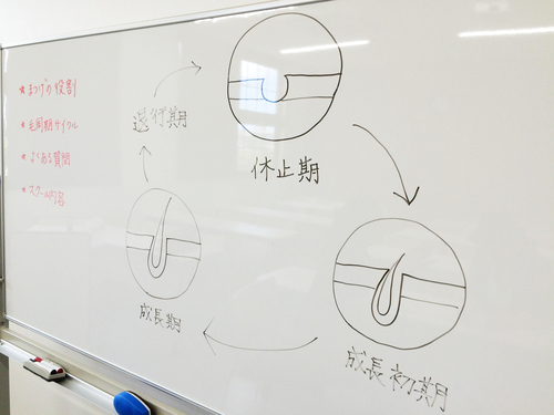 第２回　【まつエク資格スクール 無料体験】レポート