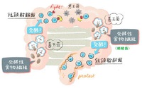 全粒粉の虜その２：小麦全粒粉には「発酵性食物繊維」が含まれている