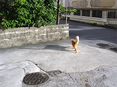 日々無常