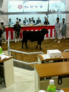 初セリ