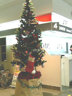 クリスマスツリー