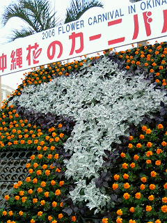 花看板