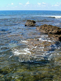 海に・・・