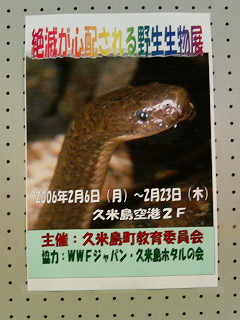 キクザトサワヘビ