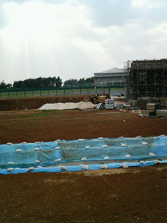 新球場