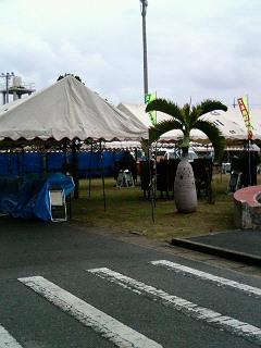 明日は産業まつり　＃１