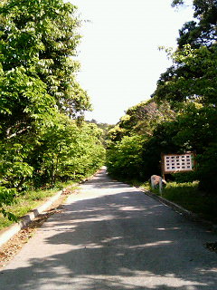 島地の森