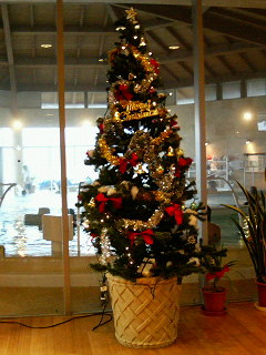クリスマスツリー♪
