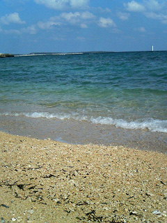 いいお天気です♪