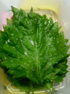 大葉の塩漬け