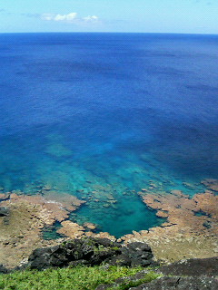海