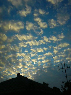 秋の雲