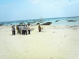 海びらき