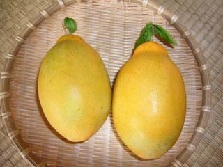 これ、な～んだ？