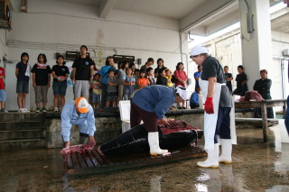 本マグロの解体