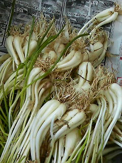 島らっきょう