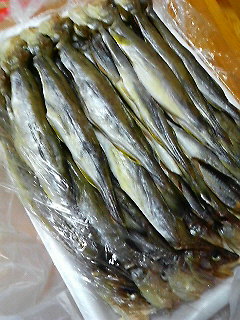 氷下魚